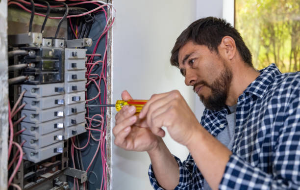 Best Electric Panel Repair  in Los Ranchos, CA